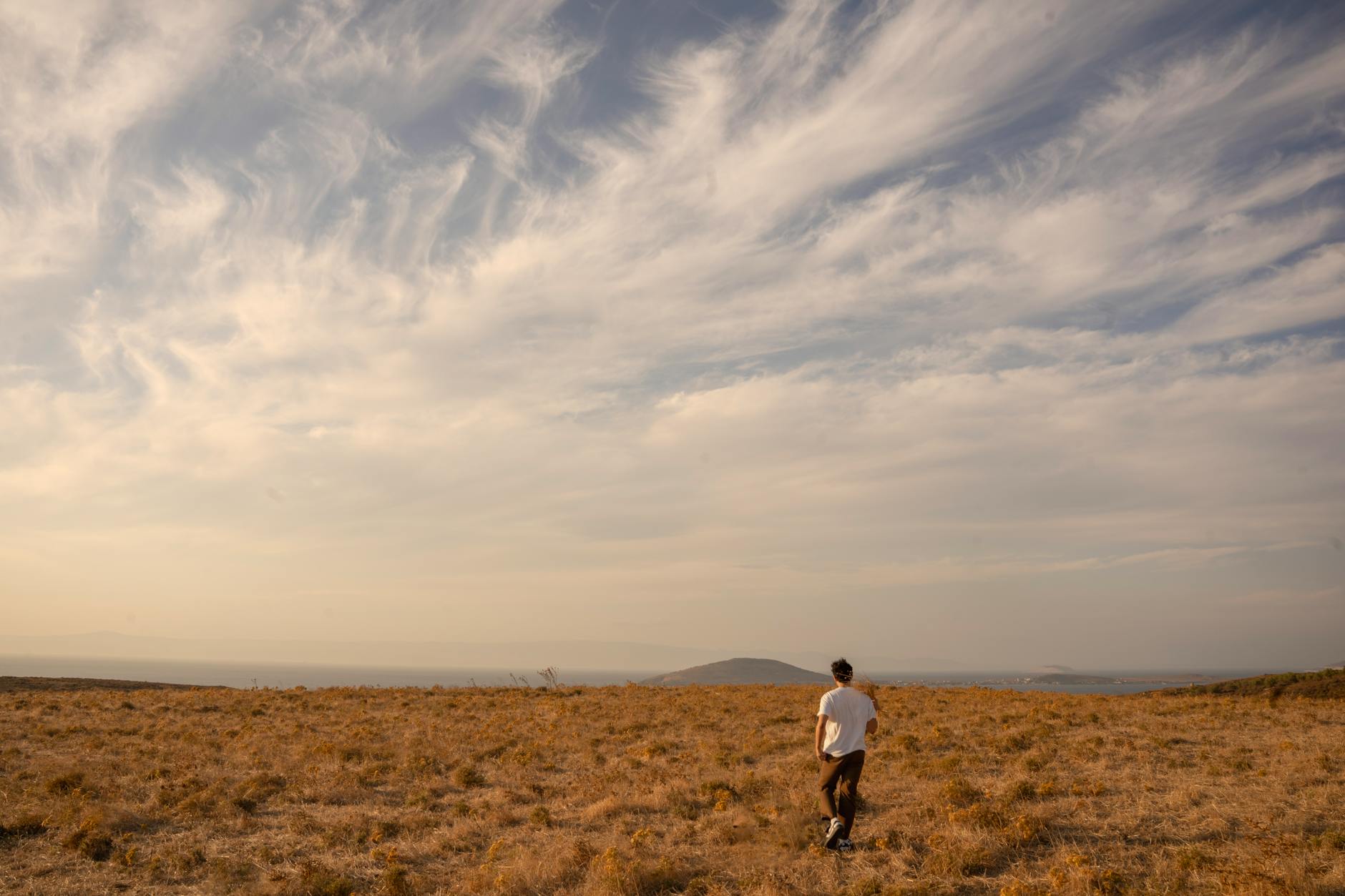 Osoba idąca przez złote pole pod nisko poprowadzonym horyzontem